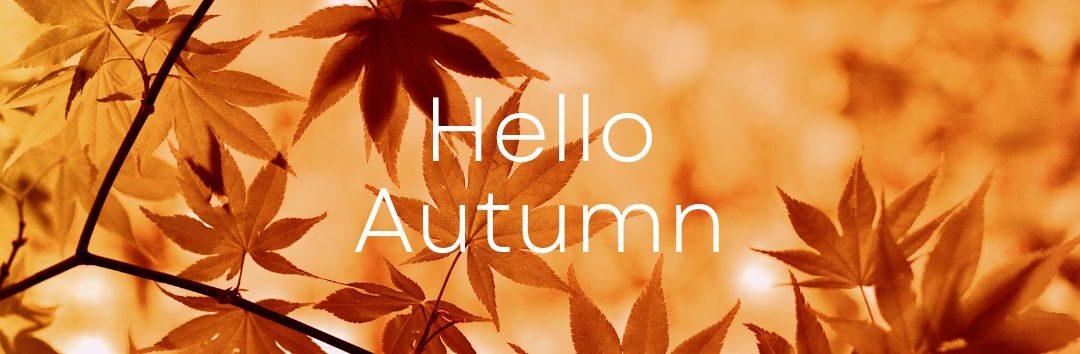 Hello Autumn, autumn leaves